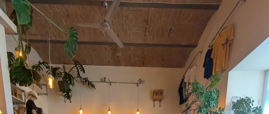 Ziegelgewölbe mit Monstera-Pflanzen, Hängelampen und T-Shirts an der Wand